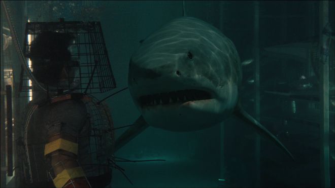 Shark Bait Movie Review