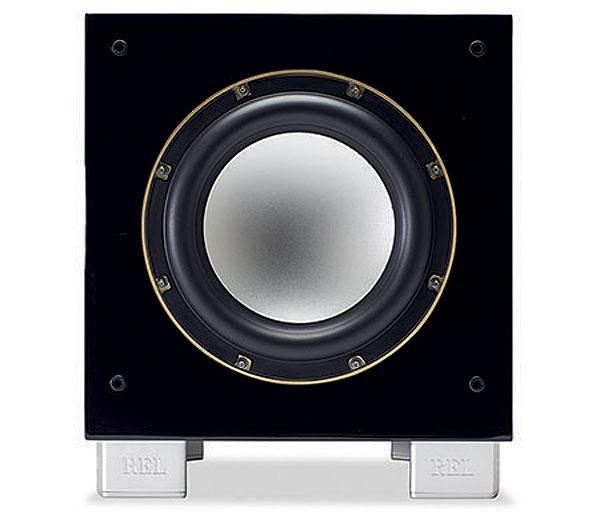 focal chorus 800