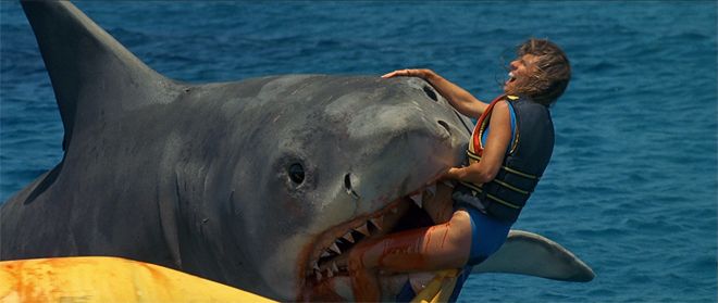 jaws 3 plot